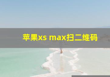 苹果xs max扫二维码